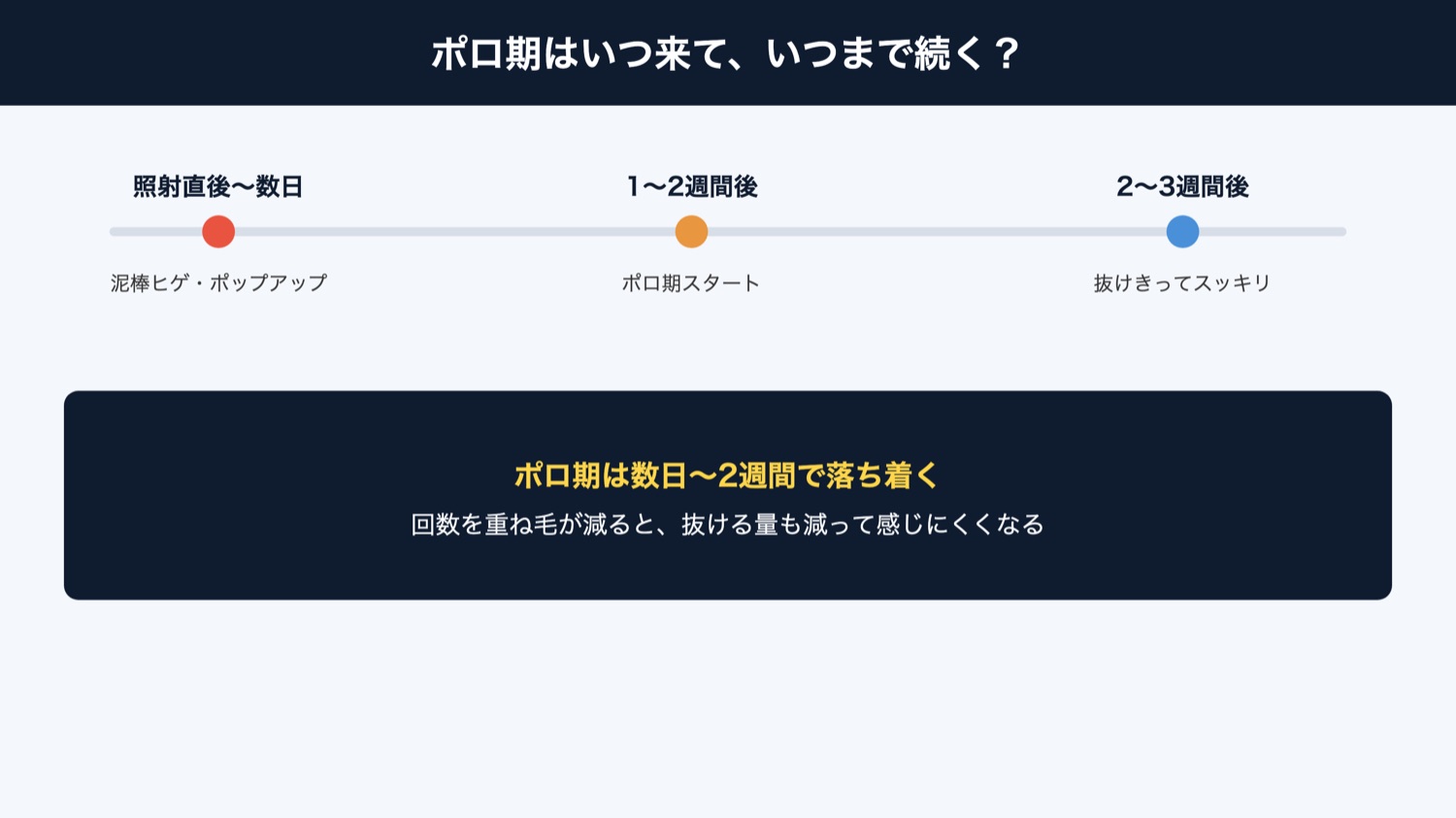 ポロ期はいつ来ていつまで続くか(図解)