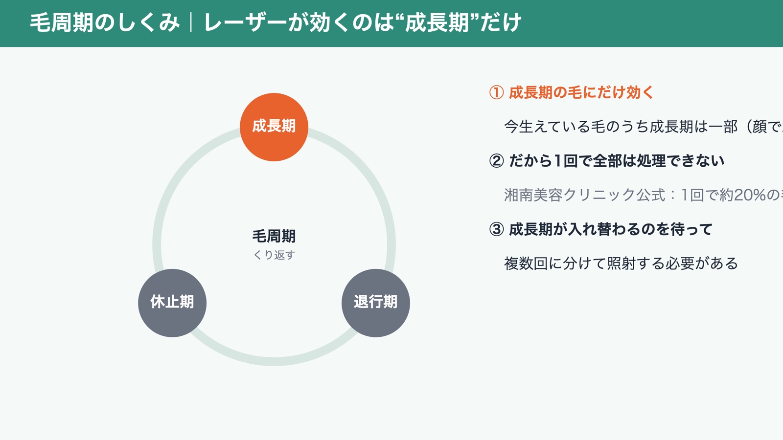 毛周期のしくみ｜レーザーが効くのは成長期だけ（図解）