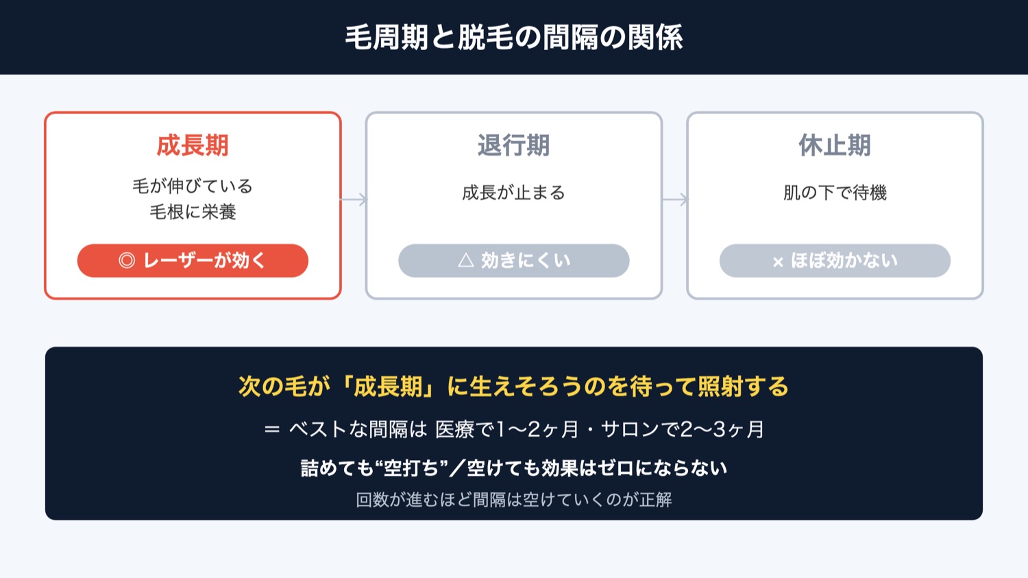 毛周期と脱毛の間隔の関係(図解)