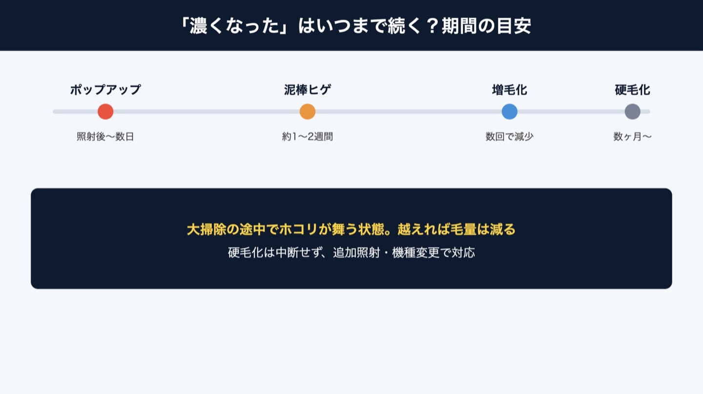 濃くなる期間の目安(図解)
